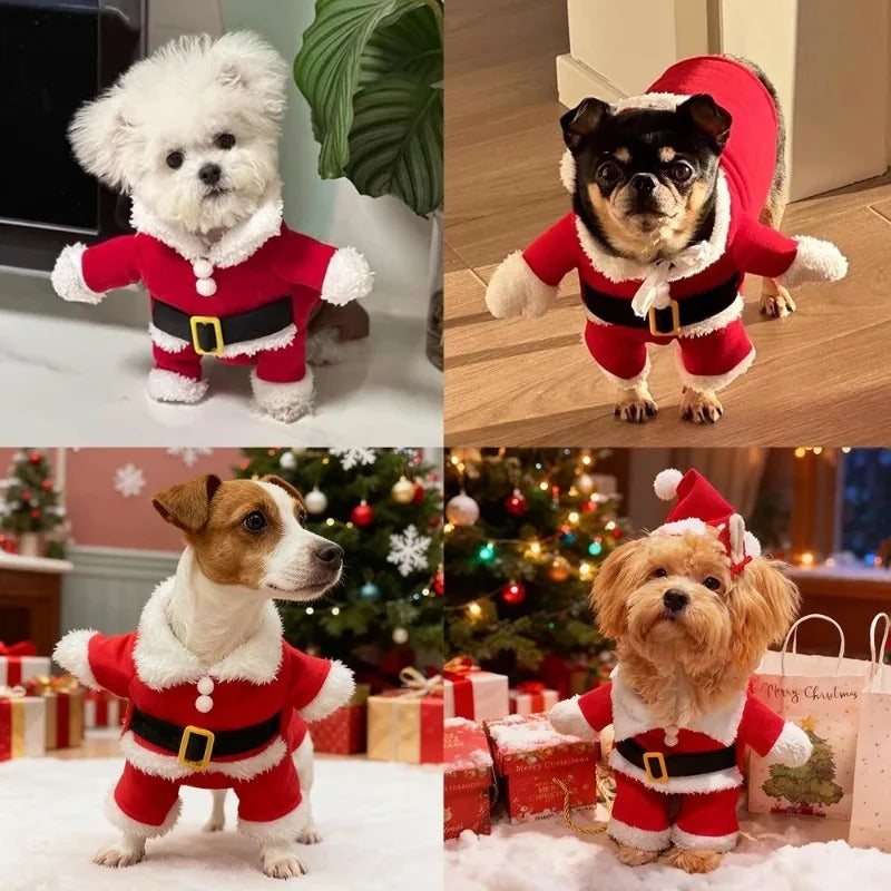 Christmas Dog Santa Costume - Cozy & Adorable Holiday Outfit